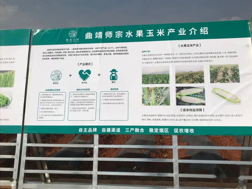 推廣有機(jī)肥改良土壤結(jié)構(gòu)，云南國(guó)發(fā)助力師宗煙草綠色高質(zhì)量發(fā)展